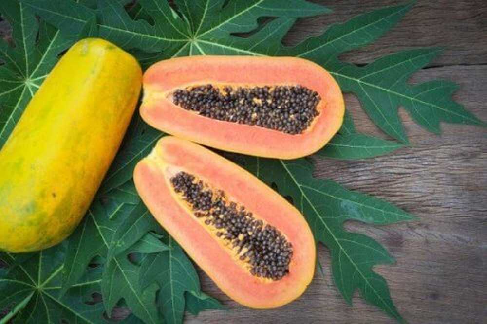 Ysn Jp Studien über Die Gesundheitlichen Vorteile Von Papaya
